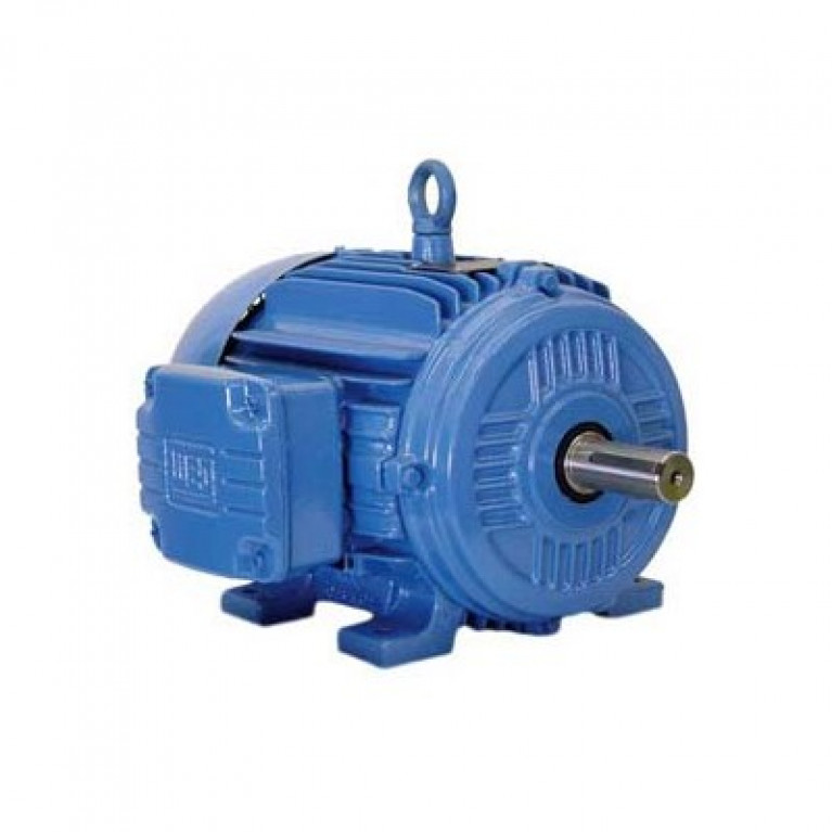 00389EP3PCT182VF1-W2 Трехфазный двигатель Weg 3/0,75 л.с.