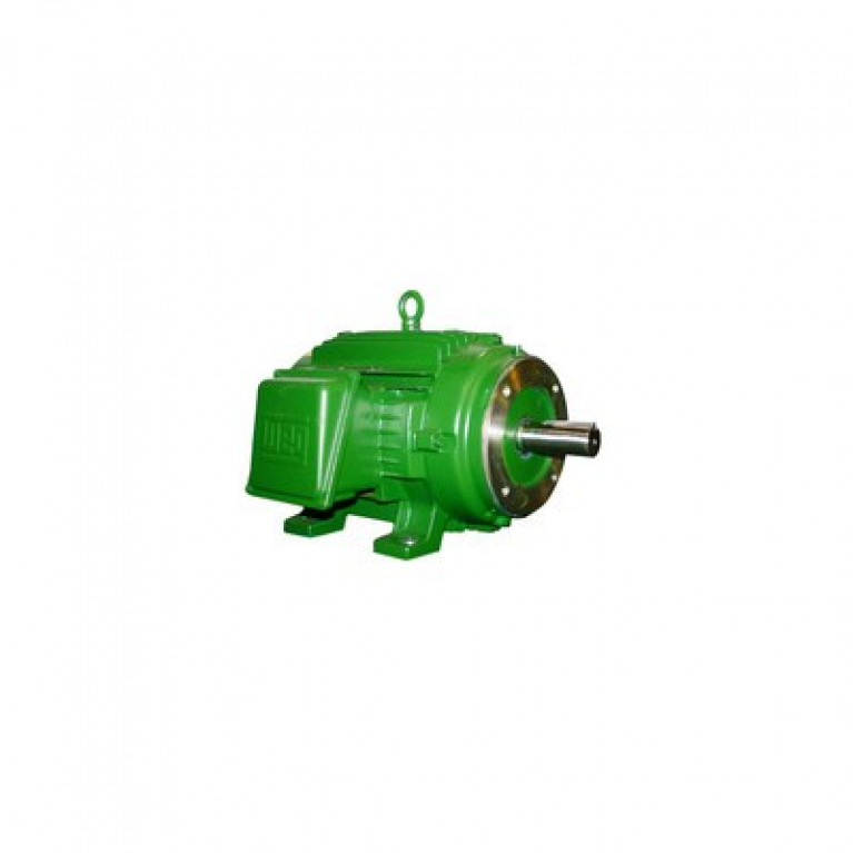 00518ET3ECT184T-W22 Трехфазный двигатель Weg, 5 л.с.