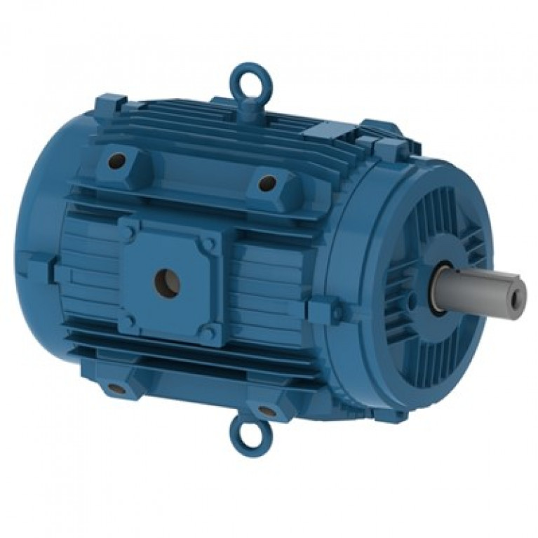 04026EP3QCT365V-W22 Трехфазный двигатель Weg, 40/10 л.с.
