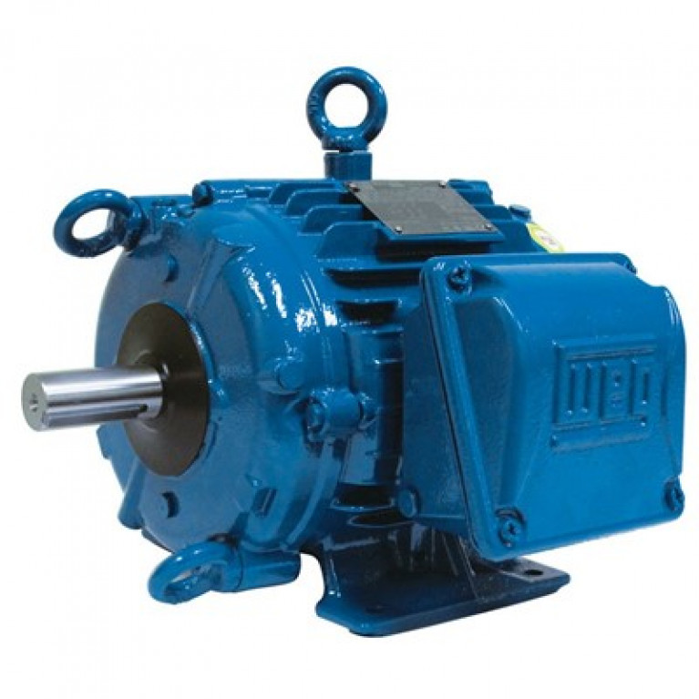 02518ET3ECT284T-W22 Трехфазный двигатель Weg, 25 л.с.