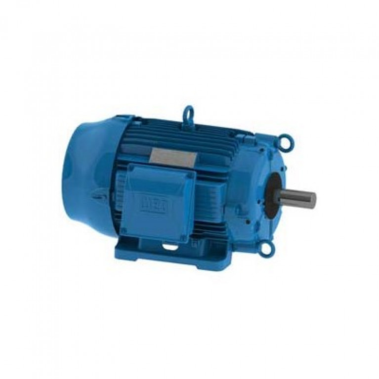 07589EP3QCT404V-W22 Трехфазный двигатель Weg, 75/18,5 л.с.
