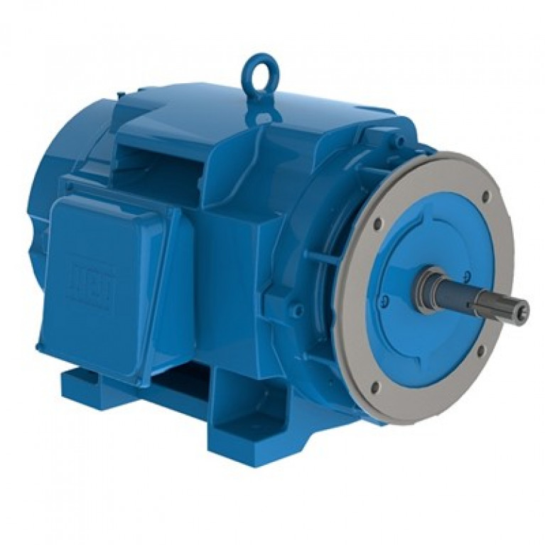 06089EP3QCT365VF1-W2 Трехфазный двигатель Weg 60/15 л.с.