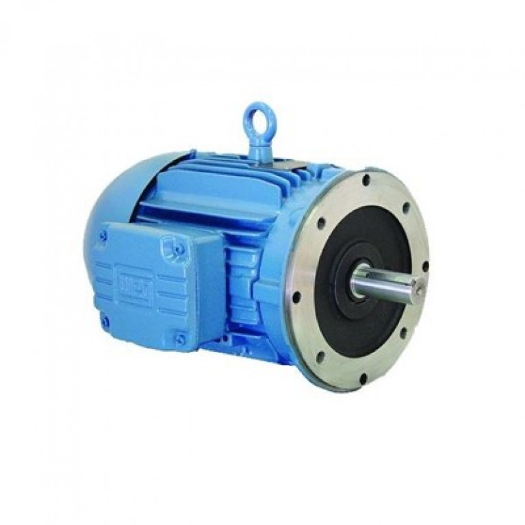 00718NT3FVD213TC-W22 Трехфазный двигатель Weg, 7,5 л.с.