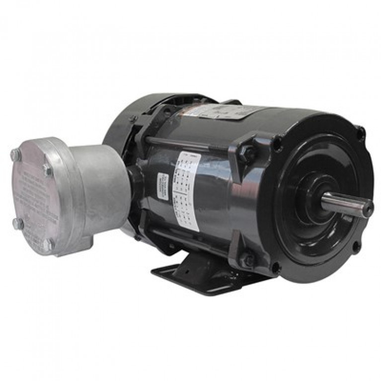 .3336XS3E56C Трехфазный двигатель Weg 0,33 л.с.