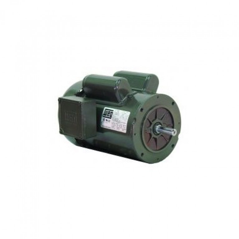 .3318OS1BRBOC56 Одиночный двигатель Weg 0,33 л.с.