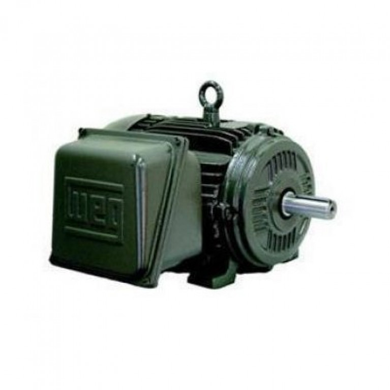 01036ES1E215T Одиночный двигатель Weg, 10 л.с.