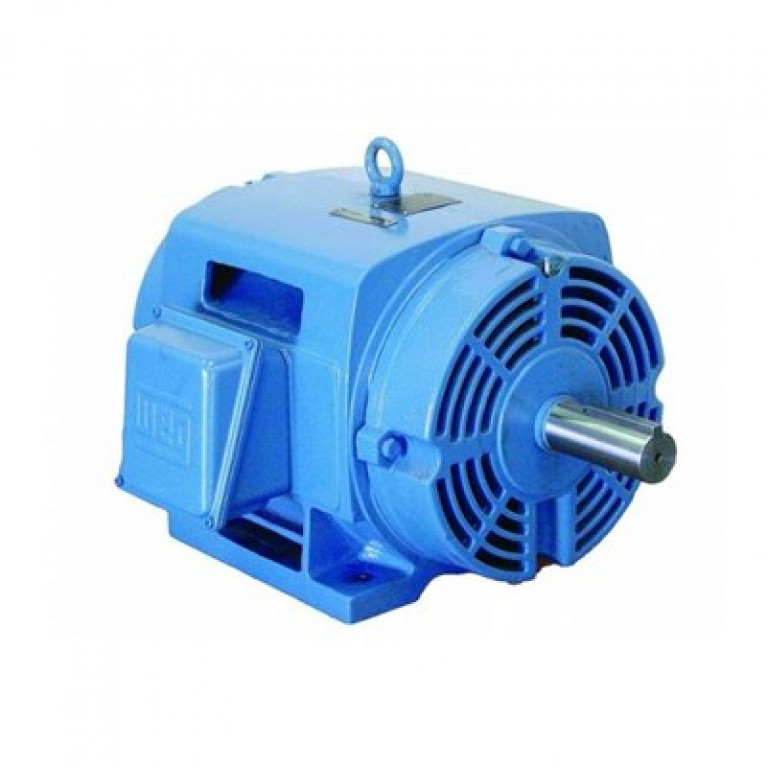 12536OT3G404TS Трехфазный двигатель Weg, 125 л.с.