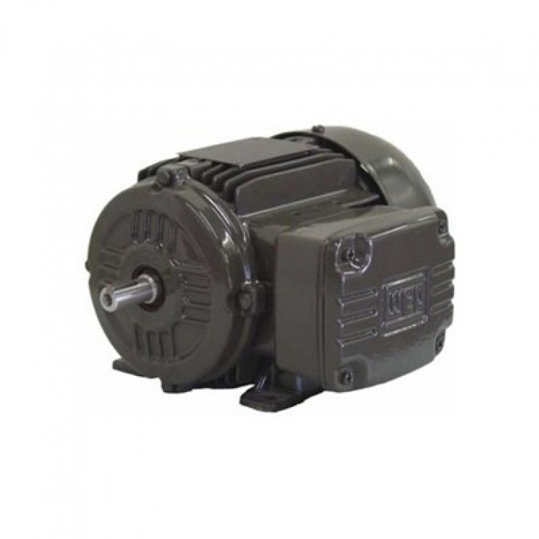 00158ET3ER145TC-W22 Трехфазный двигатель Weg, 1,5 л.с.