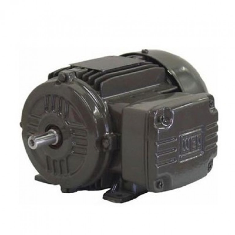 18512EP3Y315L-W22 Трехфазный двигатель Weg, 250 л.с.